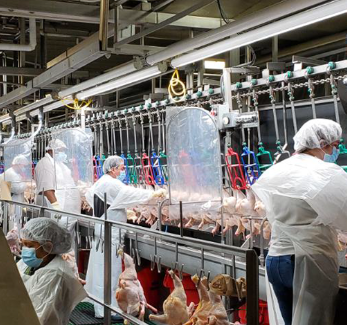 Seafood + Meats Wholesale Restaurant Supplier