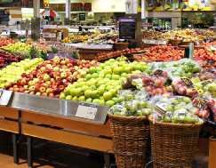 Wholesale Agricultural Products Manufacturers