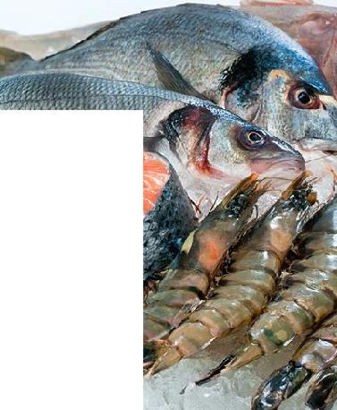 FRESH FROZEN SEAFOOD