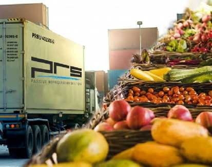 Quality Fresh and Frozen Fish 