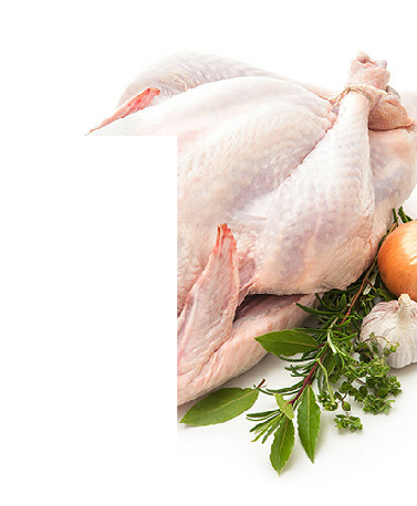 FRESH FROZEN CHICKEN, TURKEY & DUCK