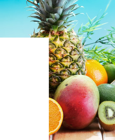 FRESH AND FROZEN FOOD SUPPLY