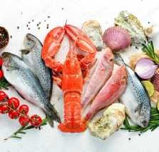 Frozen Fresh Shrimp/ Frozen Lobster/ Frozen Crabs/ Frozen Tilapia Fillet/ Yellow Fin Tuna/ Salmon/ Squid/ Mussel