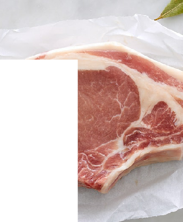 FRESH FROZEN PORK MEAT