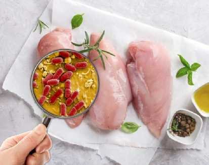 Fish & Seafood Distributors & Wholesalers